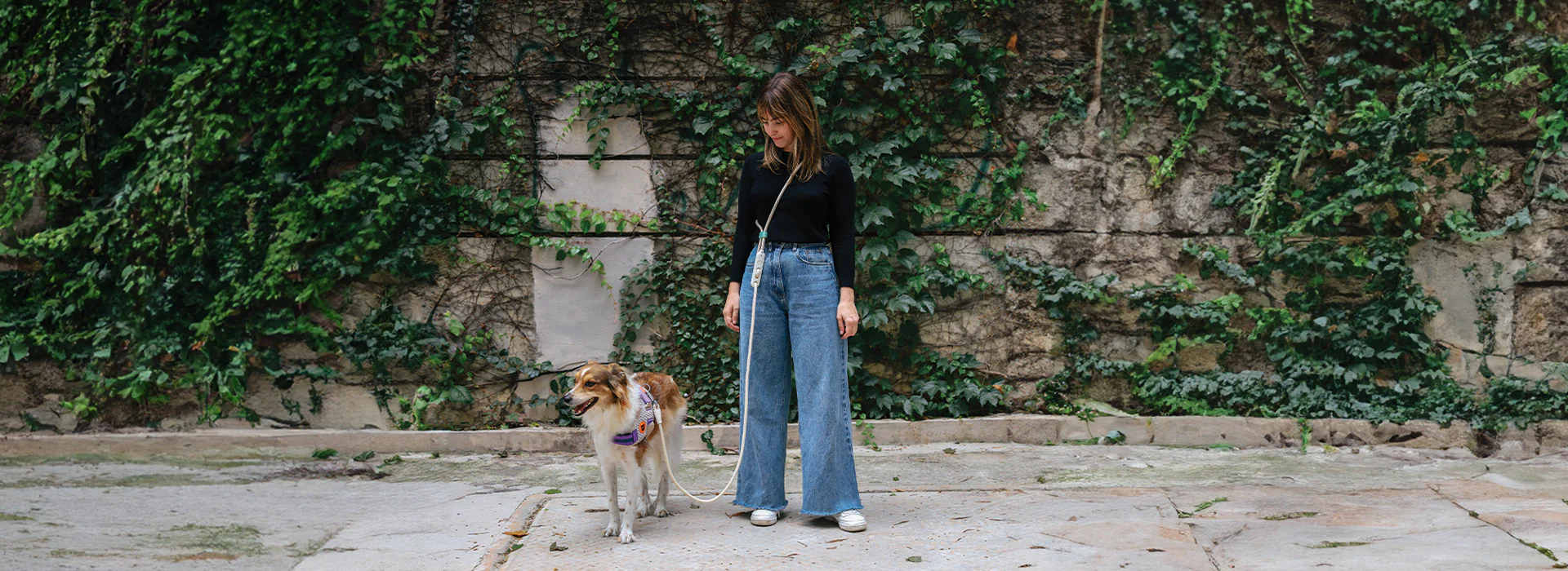 Upgrade Your Dog's Lifestyle